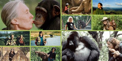 Top 15 Inspirational Animal Rights Activists Female Heroes
