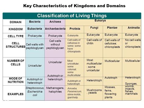 Classification Of Living Things Chart Science Teaching Resources Learn Biology Teaching Biology
