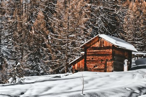 Brown Wooden Cabin In Snowy Landscape Near Forest · Free Stock Photo
