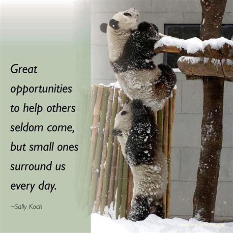 Great Opportunities To Help Others Seldom Come But Small Ones Surround