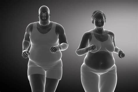 Uncovering The Brains Role In Obesity For Men And Women Gud Learn