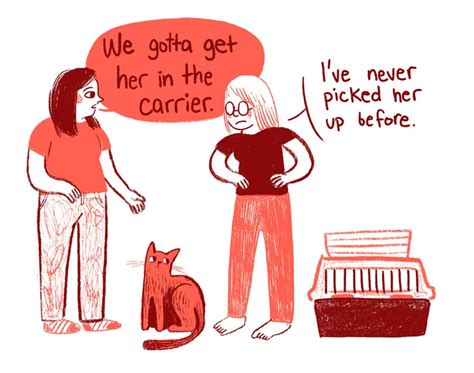 Cat carriers are essential for traveling with your cat but not all of them are airline approved. The Cat-Carrier | The New Yorker