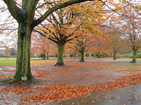 Coventry bid is a partnership between the businesses located within the ring road of coventry city centre. Coventry City Council - Open Spaces Society
