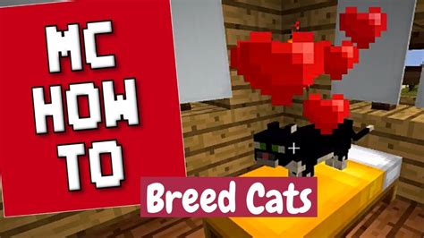 Minecraft Cat Breeding Chart
