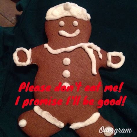 Pin By Ramona Czer On My Memes Gingerbread Cookies Gingerbread Desserts
