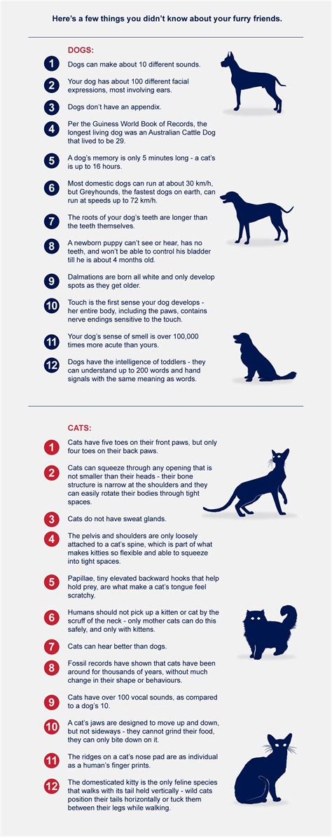 Uncommon Facts About Dogs Vs Cats Petlifeca