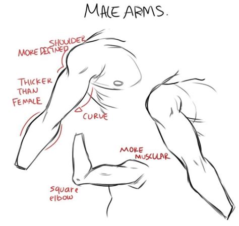 Male Arms Drawing Tutorial Helpful Pinterest Drawings