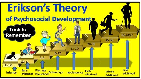Erik Eriksons Theory On Psychosocial Development Across The Lifespan Sexiz Pix