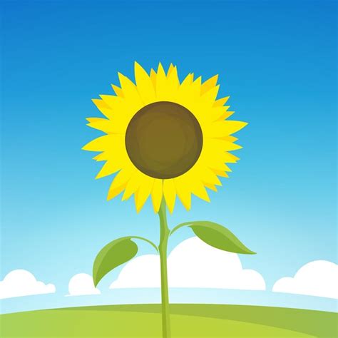 Premium Vector Sunflower On Landscape Illustration Of Nature Farm