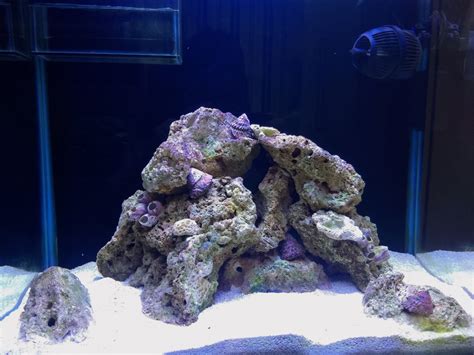 Nano Build First Reef Nano G Reef Picture Heavy REEF REEF Saltwater And Reef Aquarium