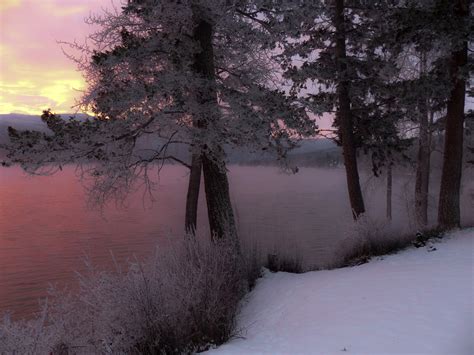 Winter Landscape With Lake And Trees In British Columbia Canada Image
