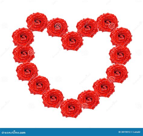 Heart Of Red Roses Stock Image Image Of Fresh Bloom 3819013