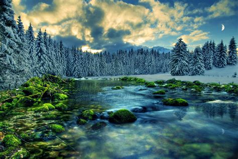 756969 Rivers Seasons Winter Hdr Spruce Snow Moss Rare Gallery