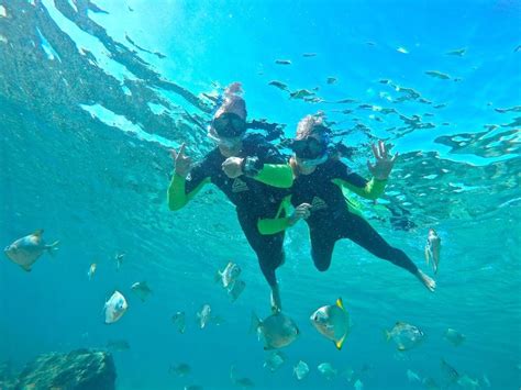 Kayak Sup Snorkel Hire Gold Coast Paradise Break Tour