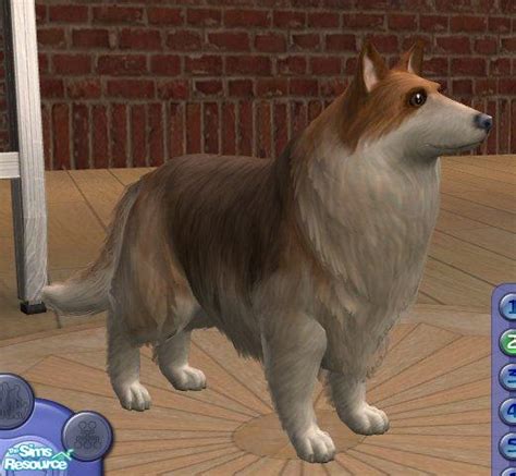 The Sims Resource Shetland Sheepdog