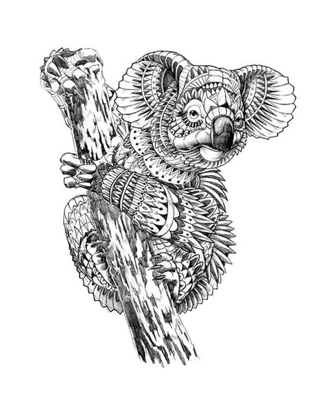 Detalle 90 Imagen Dibujos De Koalas Para Colorear Thp