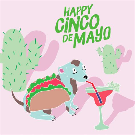 You can click on any glitter image to open specific cinco de mayo gif detail. Cinco De Mayo GIF by mtv - Find & Share on GIPHY