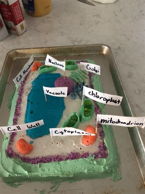 Plant Cell Project Cakes Edible Animal Cells Teaching With Jennifer