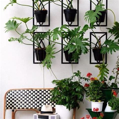 La tienda del cactus es tu tienda online de cactus y suculentas. Realza tus plantas creando una sencilla pared verde. Porta ...