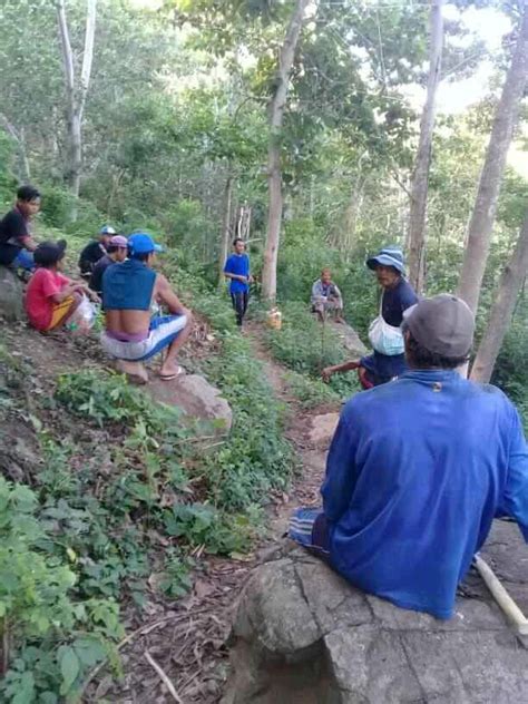 Check spelling or type a new query. 10 Alasan Hutan Menjadi Sumber Ketahanan Pangan Masa Depan ...