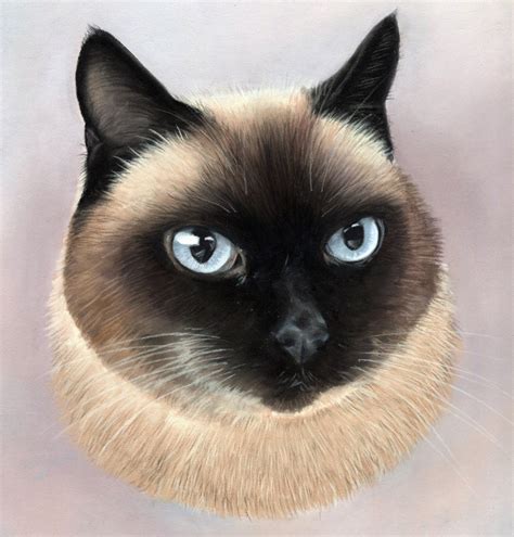 Siamese Cat Drawing From Photo Custom Cat Portrait Etsy