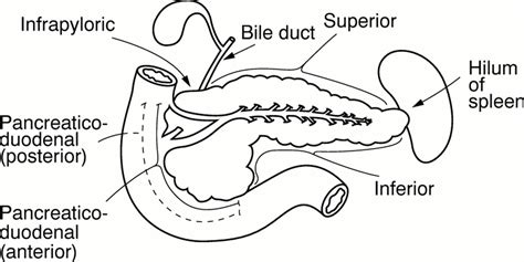 An Audit Of Pathology Lymph Node Dissection Techniques In Pylorus