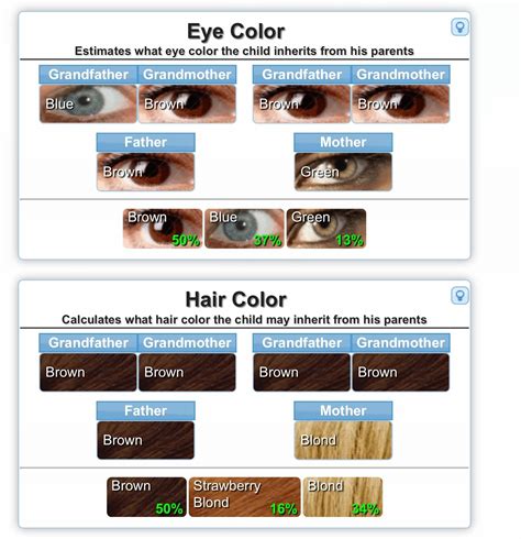 What will your baby look like? Genetics calculator for eye color etc — The Bump