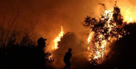 Βίντεο δείχνει το μέγεθος του μετώπου που καίει στη νότια εύβοια πολύ δύσκολη είναι από νωρίς το πρωί η κατάσταση στη νότια εύβοια μετά τη φωτιά που. Εύβοια: Επικίνδυνη φωτιά στην Κάρυστο, επιτόπου ισχυρές ...