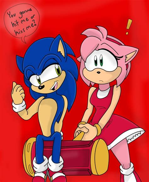 99 Best Sonamy Images On Pinterest Amy Rose Sonic And Amy And Hedgehog