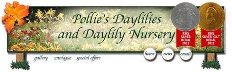 Pollies Daylilies UK Daylily Nursery Hemerocallis UK