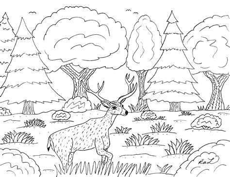 It would be perfect for learning about animals native to south america.i love drawing animals and create these co Mississippi River Coloring Page at GetDrawings | Free download