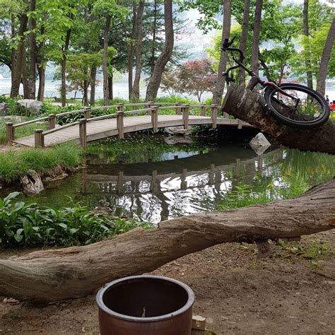 Seoul Vicinity Nami Island Petite France Garden Of Morning Calm