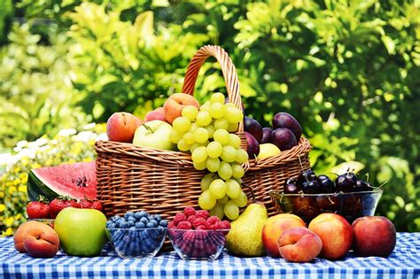Fruit Harvest Guide Our Best Tips