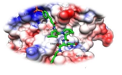 Refinery process design (lecture notes) dr. COMPUTER AIDED DRUG DESIGN (CADD): AN APPROACH FOR DRUG ...