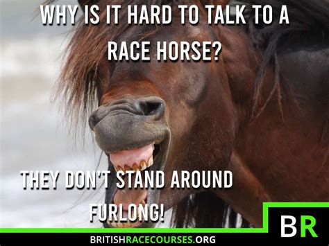Horse Racing Memes Funny Racing Memes