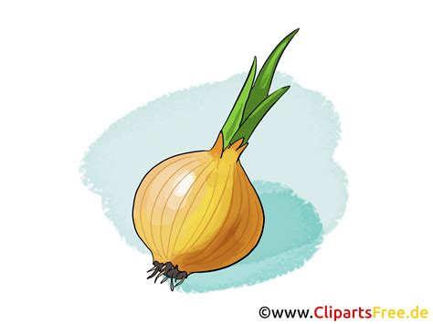 Dessin Legume Facile