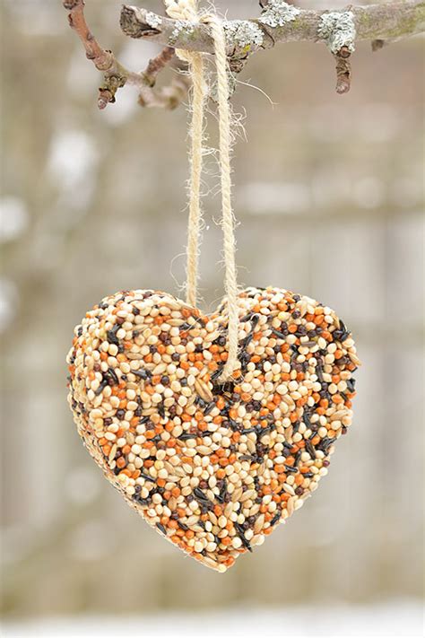 Bird Seed Ornament Recipe Without Gelatin
