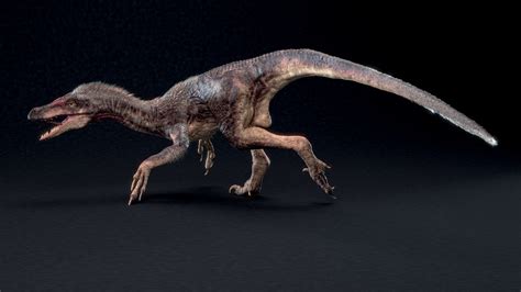 Artstation Velociraptor Mongoliensis