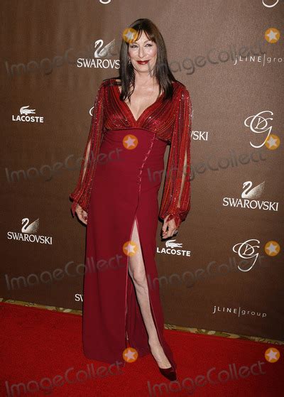 Photos And Pictures Photo By Npx 2008 21908 Anjelica Huston At The 10th