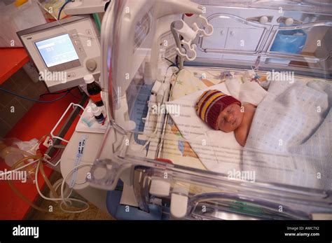 New Born Premature Baby In Incubator Neonatal Intensive Care Unit