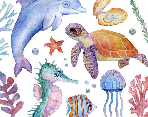 Watercolor Sea Graphics Under Water Clipart Sea Animals | Etsy | Animal