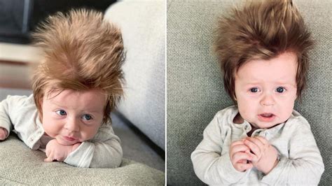 ✅ free shipping on many items! Meet Boston, the 4-Month-Old With Luscious Hair, Going ...