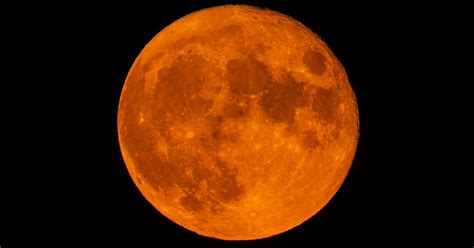Beaver Blood Moon How To See November 8s Total Lunar Eclipse