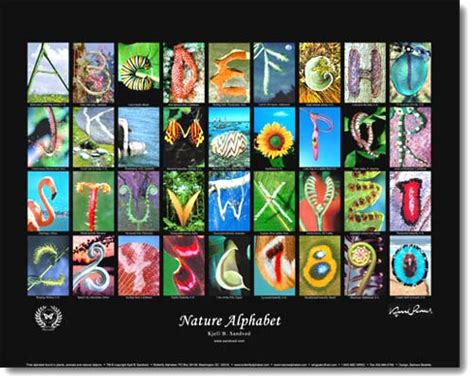Butterfly Alphabet And Numbers Butterfly Poster Alphabet Poster