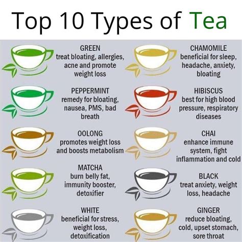 Team Plants On Instagram Which One Is Your Top Choice ☝🏼🍵🔝 To Get