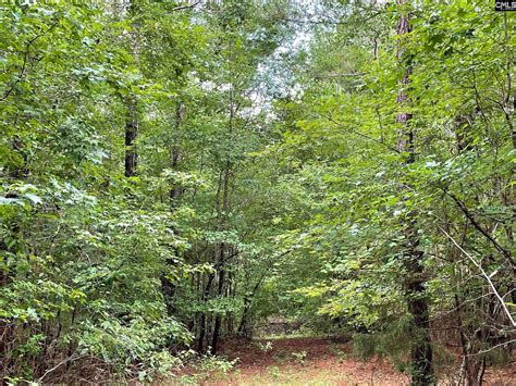 Prosperity, Newberry County, SC Undeveloped Land for sale Property ID