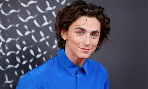 Timothee Chalamet Reposts His Peach Meme to Celebrate ... As the supreme court held in trump v.