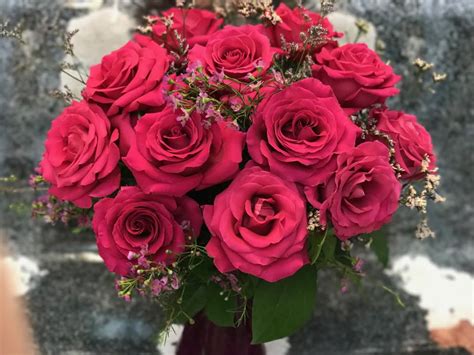 Последние твиты от victoriapark flowers (@vicparkflowers). Roses, Dozen Medium Stem, Hot Pink, Arranged & Dressed in ...
