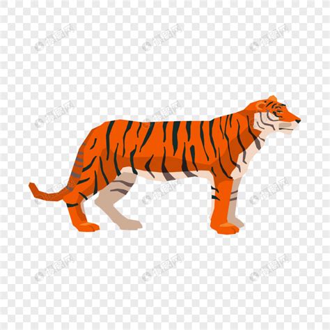 Refine your search for kartun gambar harimau. Paling Bagus 26+ Gambar Kartun Harimau Png - Gani Gambar