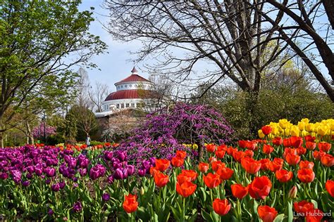 Zoo Blooms At The Cincinnati Zoo Are At Their Peak Lets Take A Tour